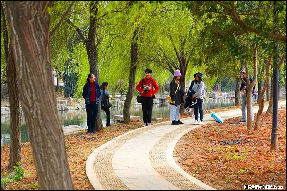 【春天,广西桂林灌阳县向您发出邀请!】江口老街又逢春 - 游山玩水 - 兴安盟生活社区 - 兴安盟28生活网 xam.28life.com