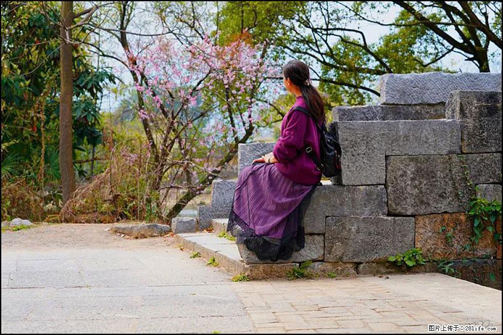 【春天,广西桂林灌阳县向您发出邀请!】江口老街又逢春 - 游山玩水 - 兴安盟生活社区 - 兴安盟28生活网 xam.28life.com