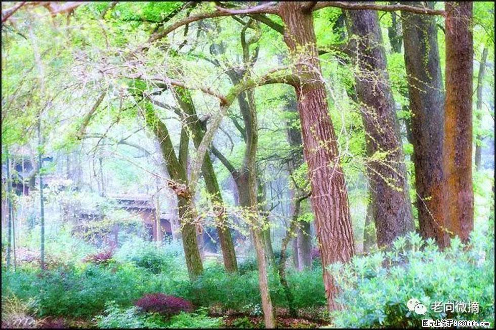 【春天,广西桂林灌阳县向您发出邀请!】在小龙村与春天约会 - 游山玩水 - 兴安盟生活社区 - 兴安盟28生活网 xam.28life.com