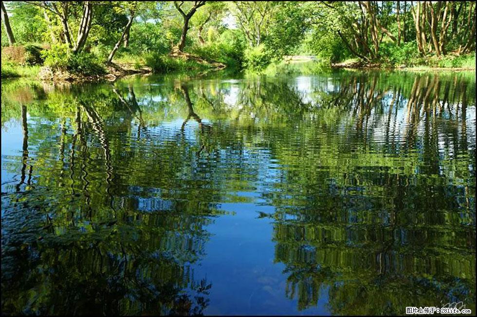 【春天,广西桂林灌阳县向您发出邀请!】熊家寨湿地公园 - 游山玩水 - 兴安盟生活社区 - 兴安盟28生活网 xam.28life.com