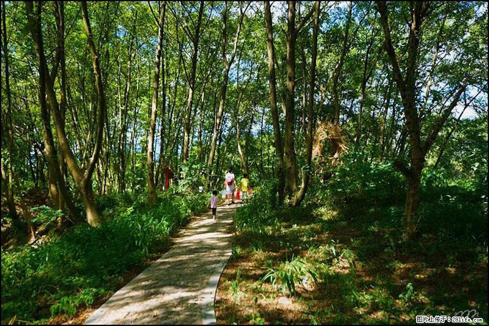 【春天,广西桂林灌阳县向您发出邀请!】熊家寨湿地公园 - 游山玩水 - 兴安盟生活社区 - 兴安盟28生活网 xam.28life.com
