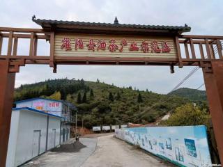 【灌阳县油茶产业示范区】一个有着充实的精神生活的人,对待身外之物自会有一种淡泊的态度 - 兴安盟28生活网 xam.28life.com