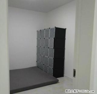 12中附近、精装修婚、房南北通透、电梯楼 - 兴安盟28生活网 xam.28life.com