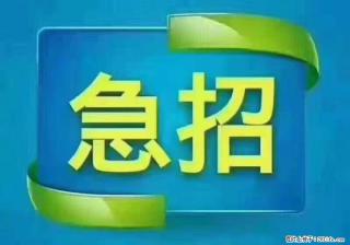 招出纳8000元/月，无证可以，要有相关经验，上海五险一金，包住，包工作餐，做六休一。 - 兴安盟28生活网 xam.28life.com