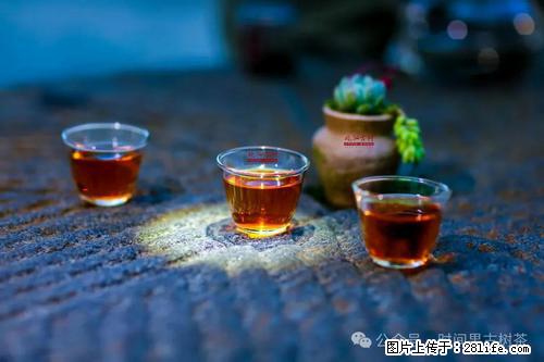 时间果百年古树2025年春红茶 - 购物交流 - 兴安盟生活社区 - 兴安盟28生活网 xam.28life.com