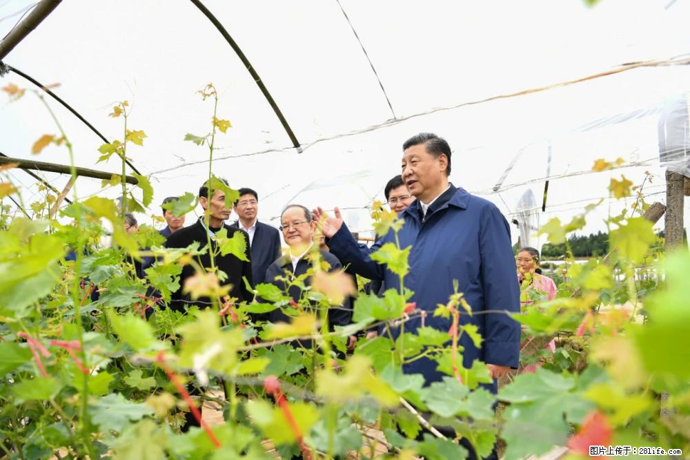 习近平赴广西考察调研 - 兴安盟生活资讯 - 兴安盟28生活网 xam.28life.com