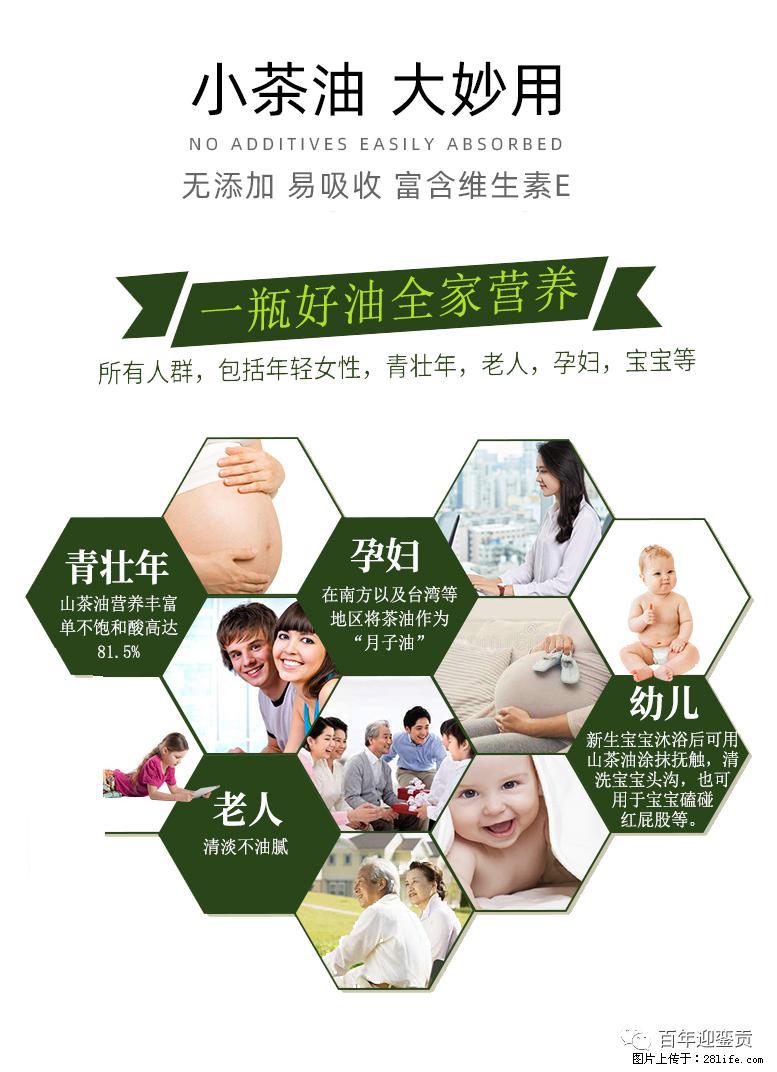 世界没有真相,只有认知,最好的食用油是中国的山茶油! - 兴安盟生活资讯 - 兴安盟28生活网 xam.28life.com