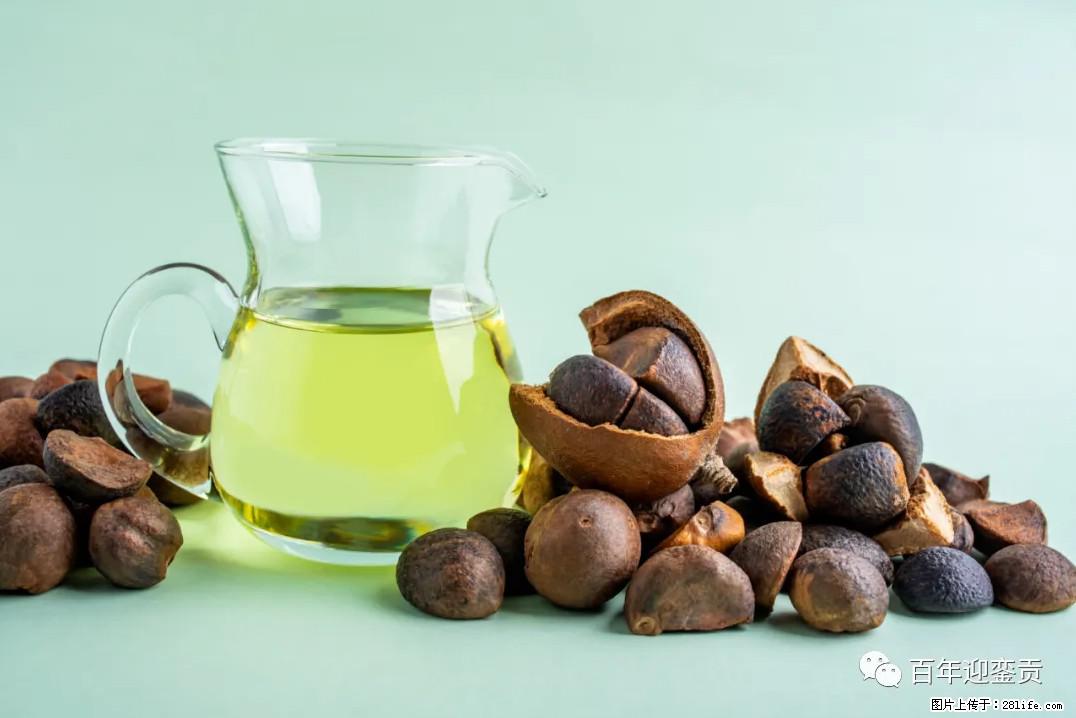 世界没有真相，只有认知，最好的食用油是中国的山茶油！ - 兴安盟生活资讯 - 兴安盟28生活网 xam.28life.com