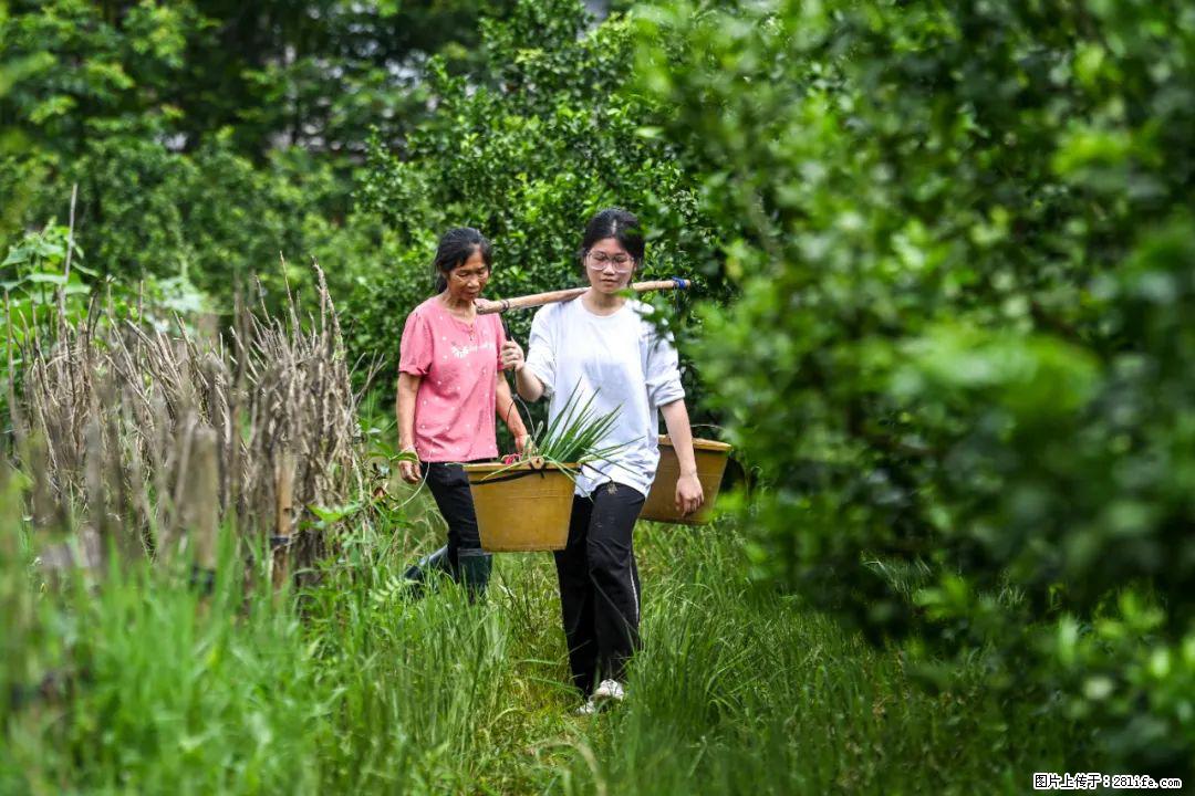全网追的“扁担女孩”，找了一份暑假工，时薪12元 - 兴安盟生活资讯 - 兴安盟28生活网 xam.28life.com