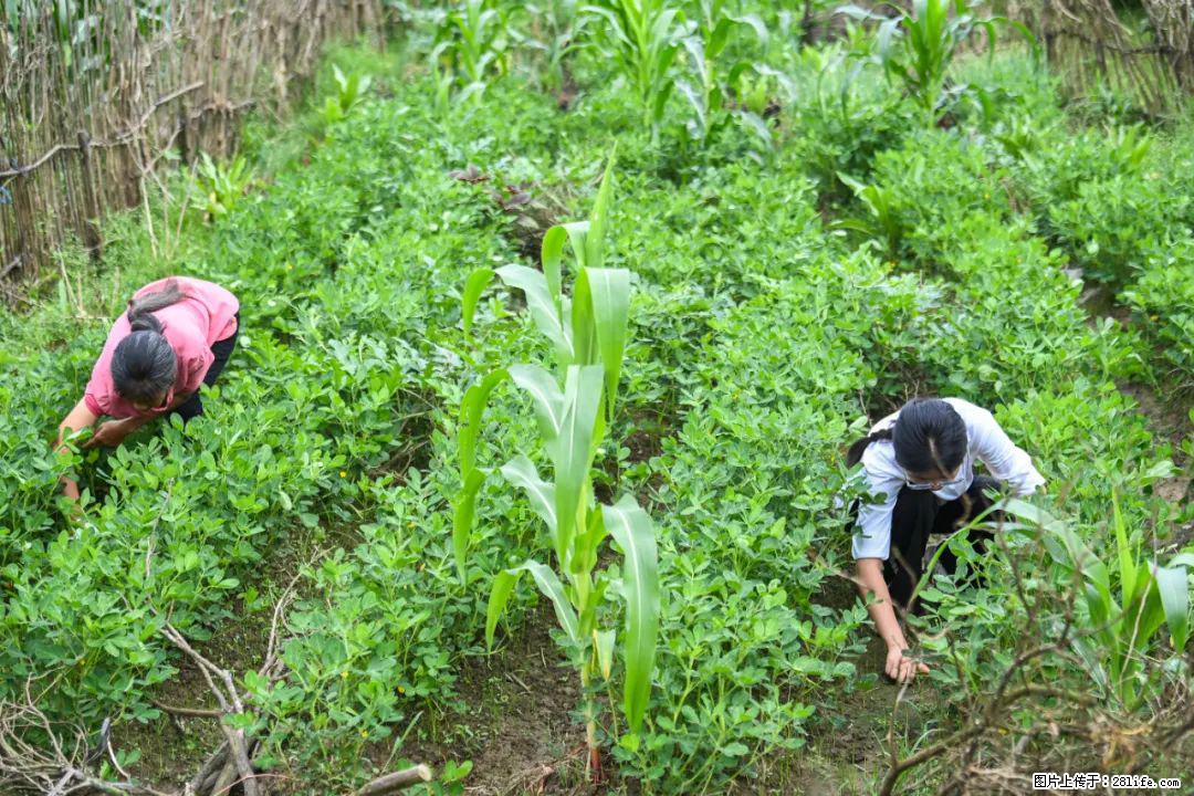 全网追的“扁担女孩”，找了一份暑假工，时薪12元 - 兴安盟生活资讯 - 兴安盟28生活网 xam.28life.com