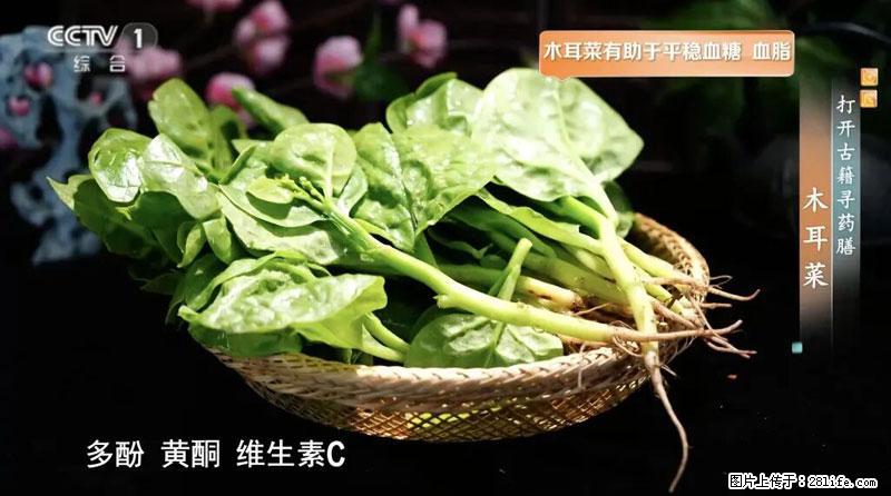 比牛奶补钙还厉害!凉血解毒、稳血糖...这菜冬天必吃,很多人却当草 - 兴安盟生活资讯 - 兴安盟28生活网 xam.28life.com