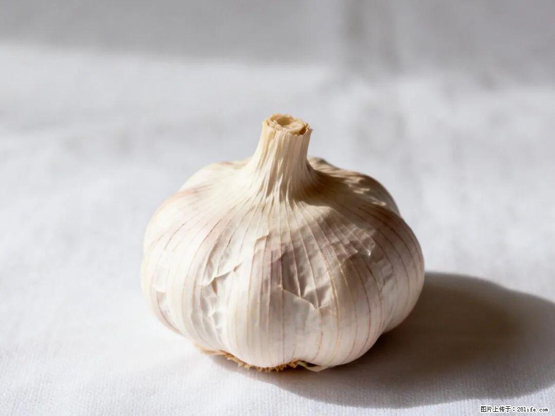 关于大蒜,除了“天然抗生素”,这4个谣言更该警惕! - 兴安盟生活资讯 - 兴安盟28生活网 xam.28life.com