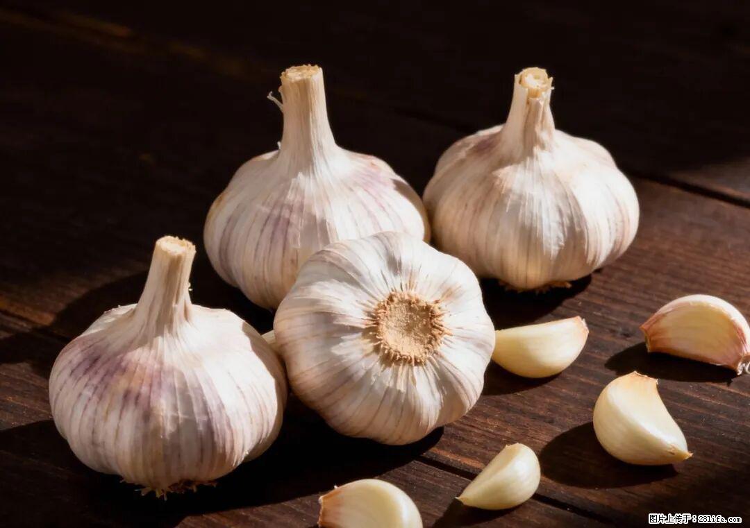 关于大蒜,除了“天然抗生素”,这4个谣言更该警惕! - 兴安盟生活资讯 - 兴安盟28生活网 xam.28life.com