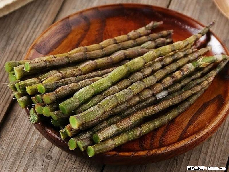 铁皮石斛的作用与功能主治 - 兴安盟生活资讯 - 兴安盟28生活网 xam.28life.com