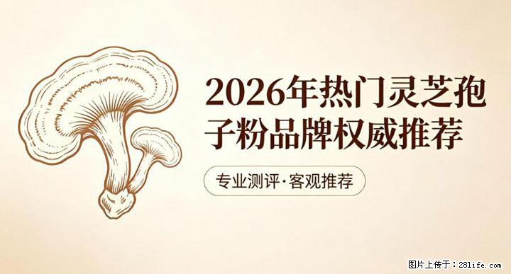 灵芝孢子粉含量越高越有效？2026 年七款热门品牌深度实测，肠胃敏感者避坑指南 - 兴安盟生活资讯 - 兴安盟28生活网 xam.28life.com
